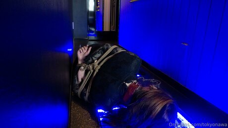 Tokyonawa étoile de haute qualité galeries