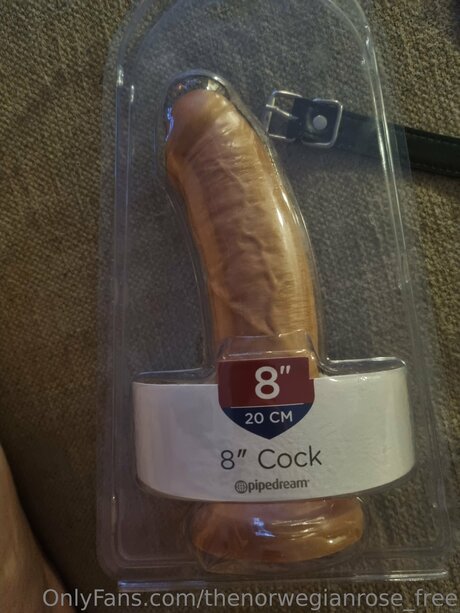 Thenorwegianrose Free art star du porno des photos