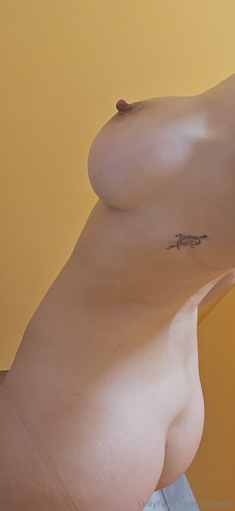 Luxymin étoile de haute qualité galerie