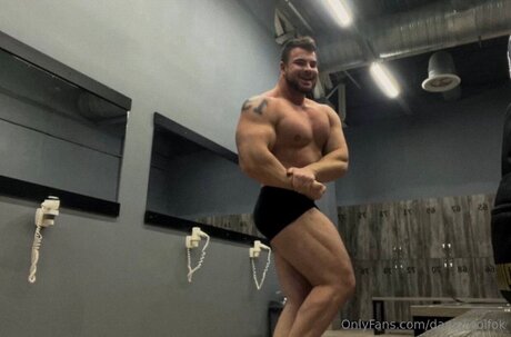 Danielwolfok modèle exclusif img