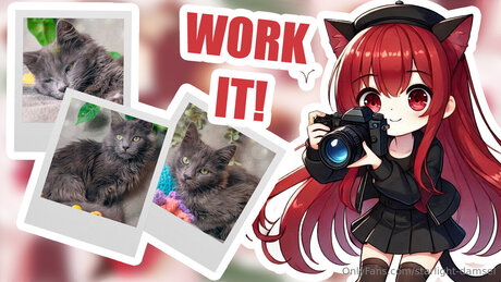 Starlight Damsel star exclusive archive