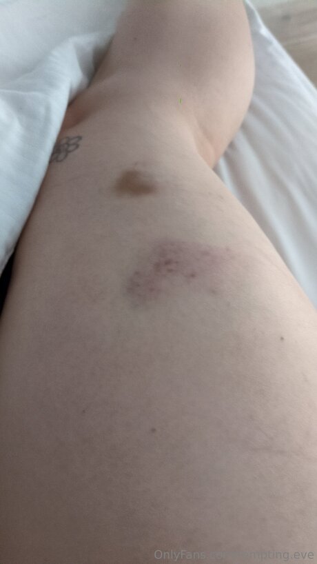 Tempting Eve xxx star du porno collection