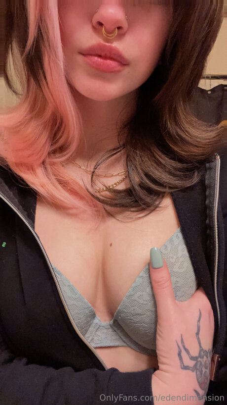 Edendimension belle étoile galeries