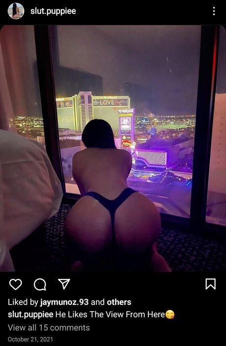 Slut Puppie star du sexe collection