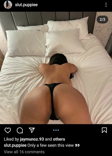 Slut Puppie modèle exclusif collection