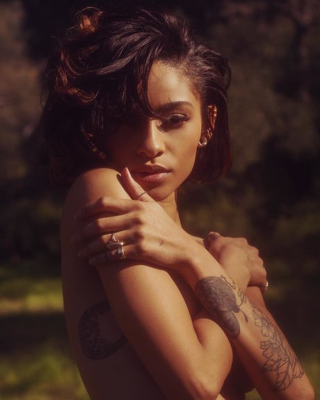 Sunnibytch belle star du porno photos