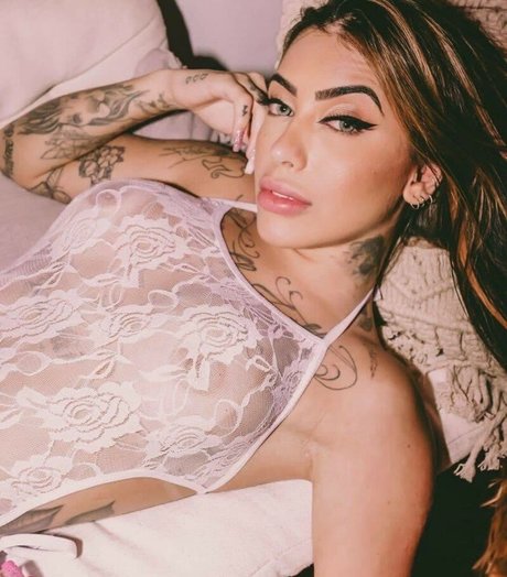 cshepx modèles nus image