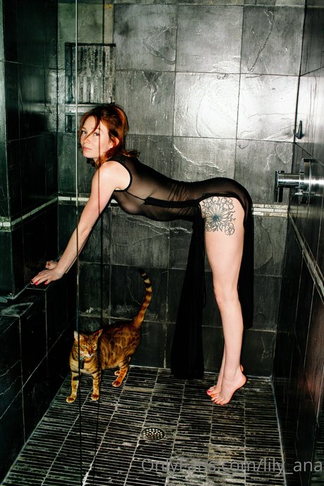 lily ana modèle gratuit image