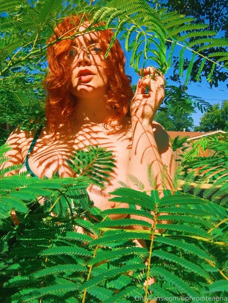 papa vip onlyfans haute qualité exclusive images