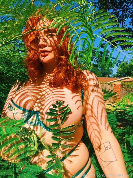 chauffeur de camion uniquementfans porno artistique galeries