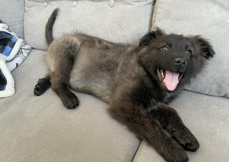 Summerreese modèle adulte galeries