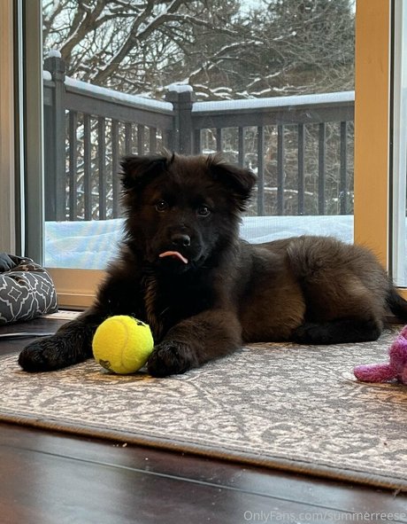 fans de transexuelles sexy uniquement meilleur sexy images