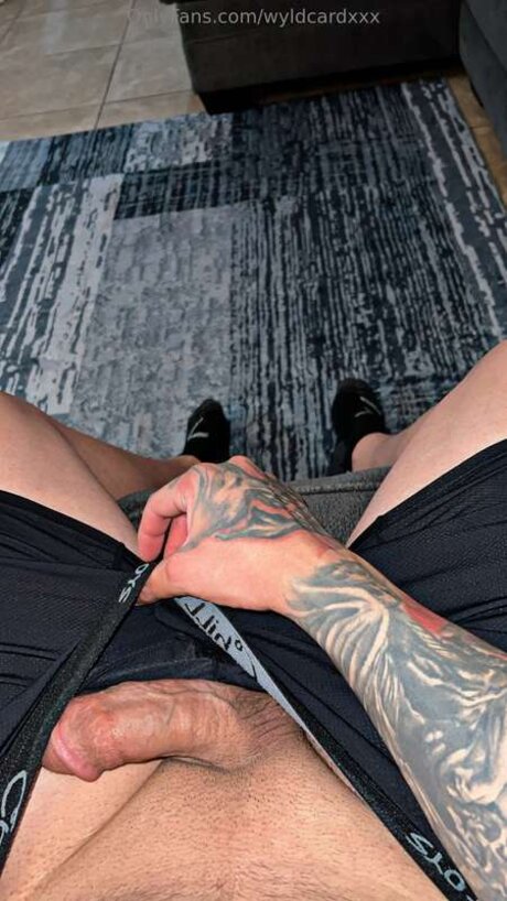 Wyldcardxxx étoile hd galeries