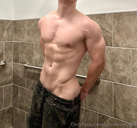 Gardenerof23 étoile adulte images