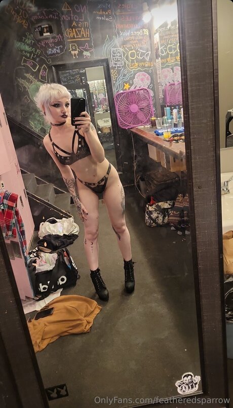 Featheredsparrow meilleur modèle galeries