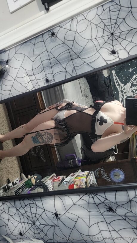 Featheredsparrow xxx star du porno collection