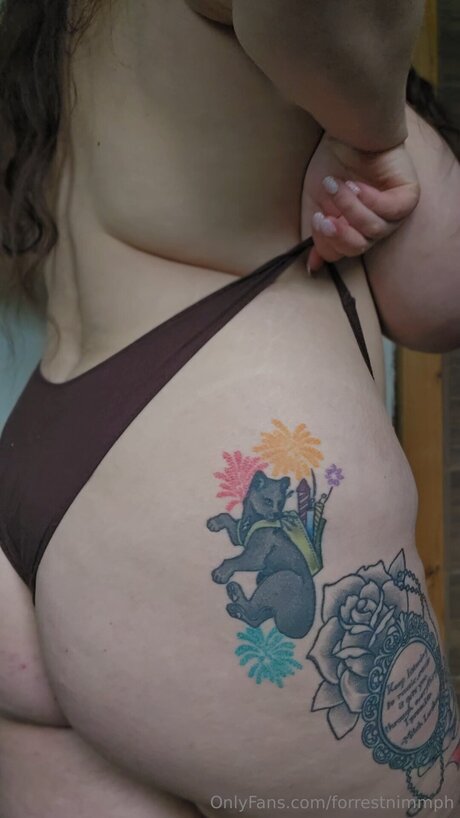 Forrestnimmph étoile adulte galerie