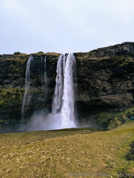 Katenaturals joli modèle photos