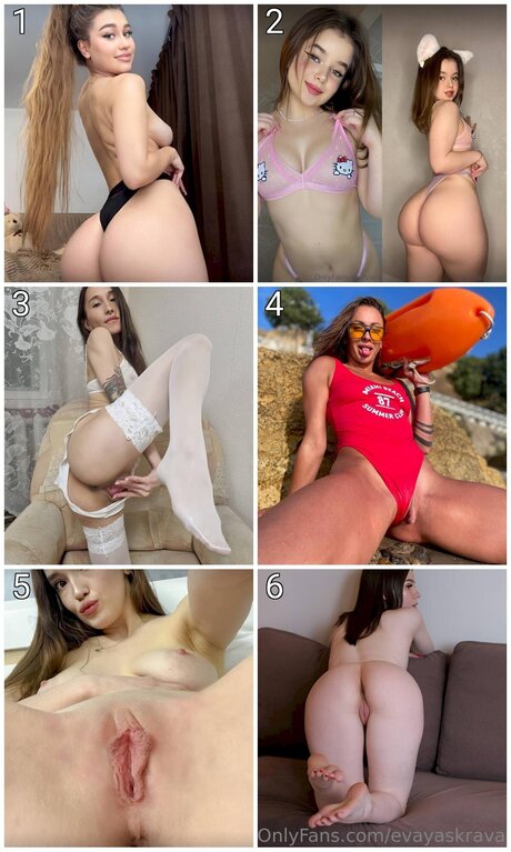 Evayaskrava étoile adulte image