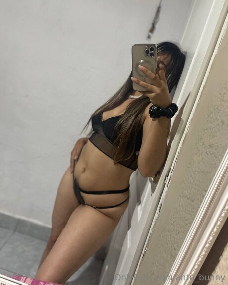 Anto Bunny étoile de haute qualité image