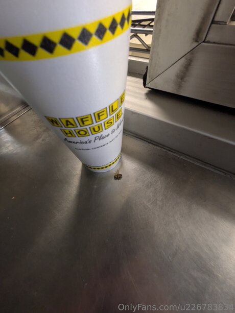 Pegasus Adrienne star pornographique collection