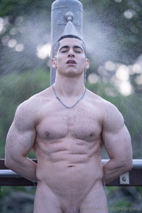 Evanpeix étoile parfaite images