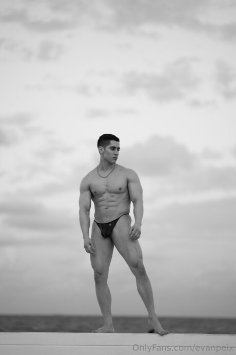 Evanpeix art étoile des photos