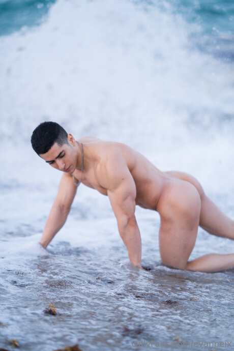 Evanpeix star du porno adulte collection