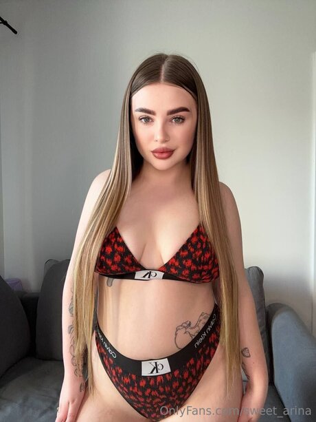 Arina Hot modèle pornographique collection