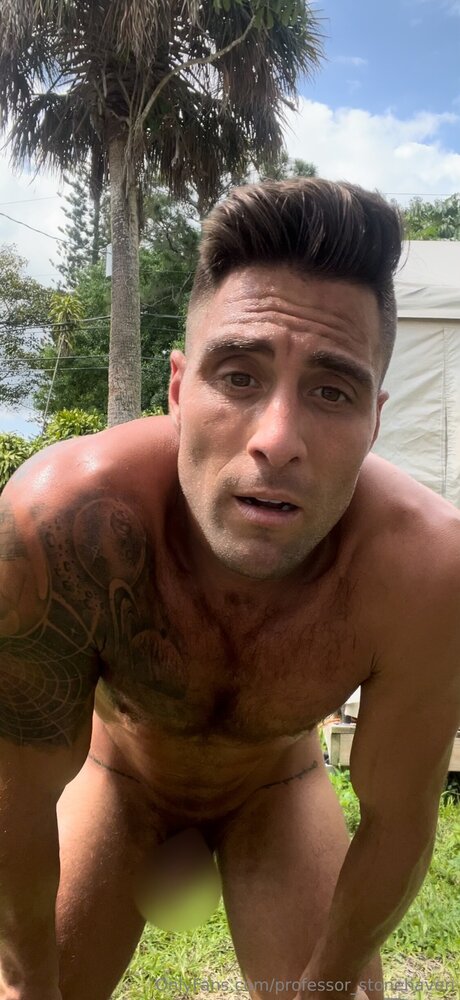 Professor Stonehaven étoile exclusive galerie