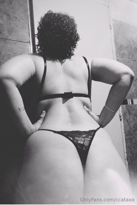 Ccataxx modèle adulte image