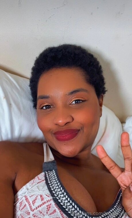 Houseoffan modèle hd img