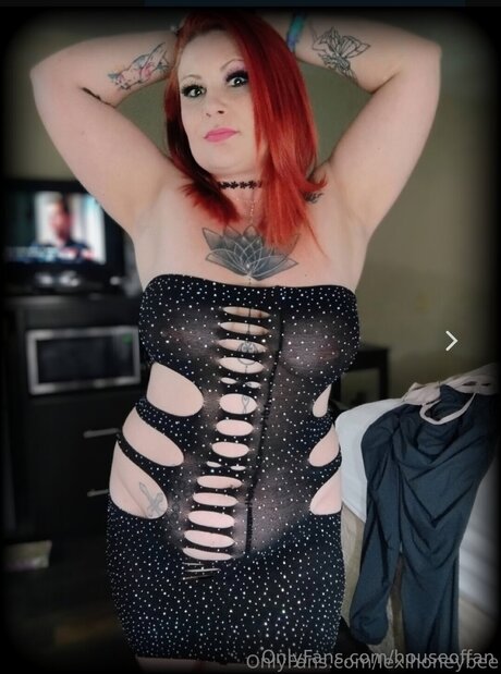 Houseoffan meilleur modèle des photos