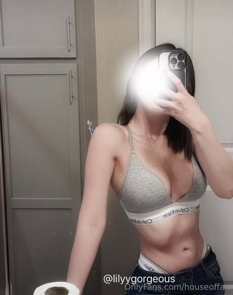 Houseoffan haut étoile galerie