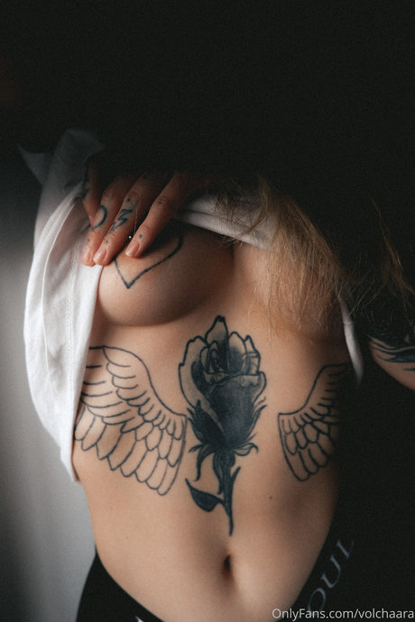 _volchara top star galerie