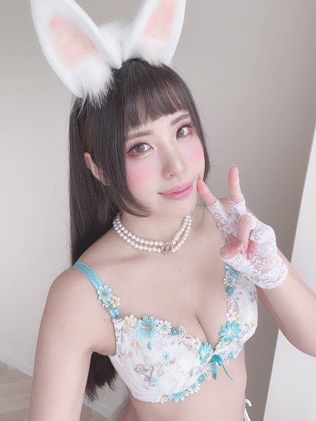 fans uniquement du dmv bel art collection