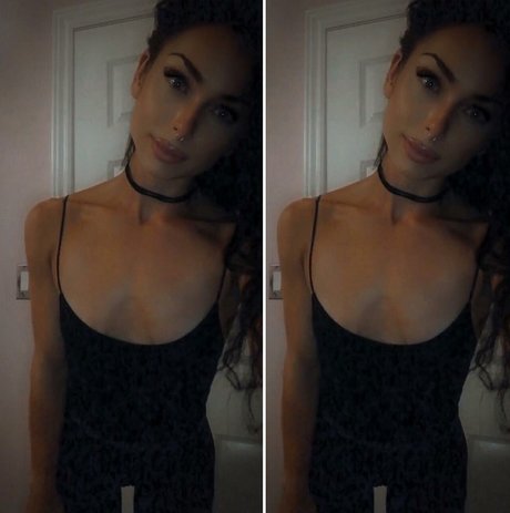 RachelLaurenGray étoile parfaite galeries