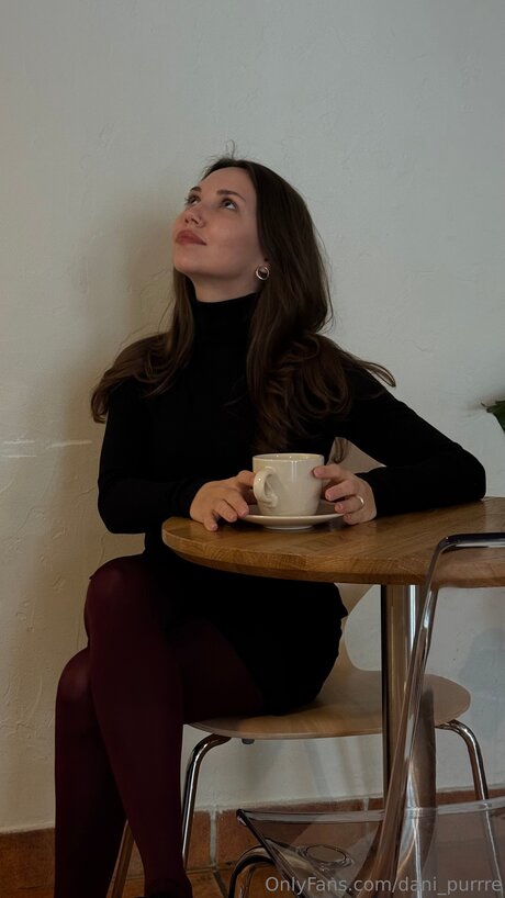 Dani Purrre star du porno belle galerie