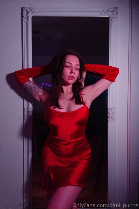 Dani Purrre xxx star du porno image