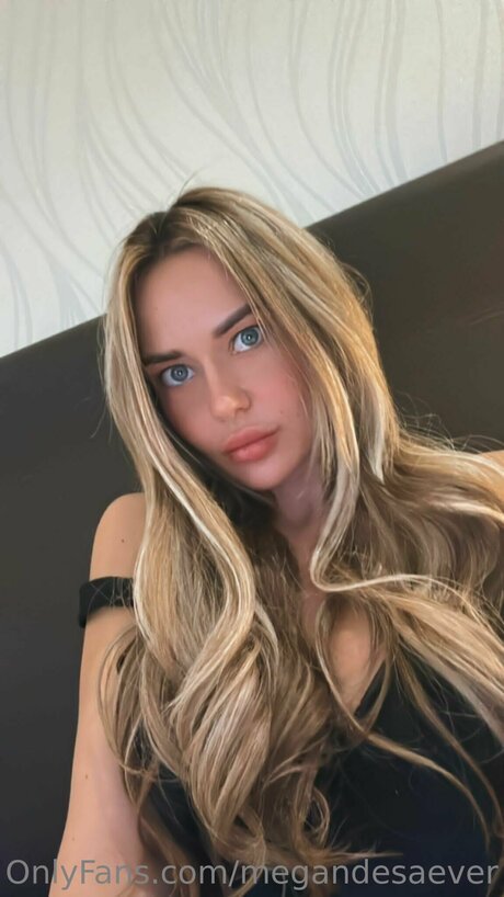 Megandesaever star pornographique collection