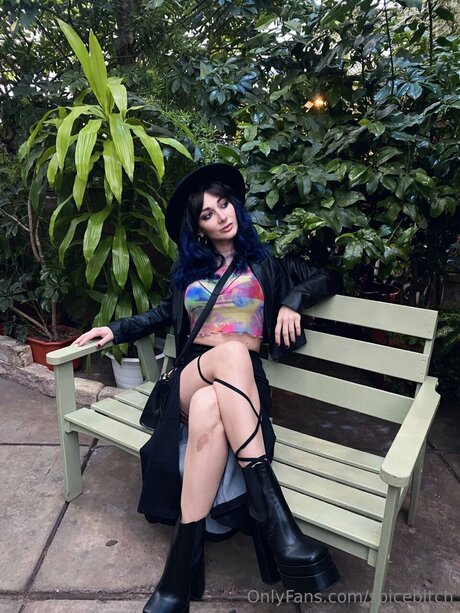 Spicebitch belle étoile image