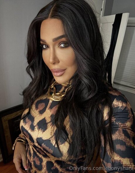 Ebonyshani star du porno de haute qualité image