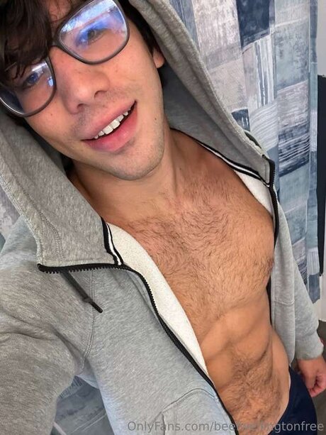 Beefwellingtonfree modèle sympa archive