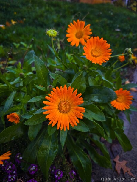 fitness xxx uniquementfans nus sexy img