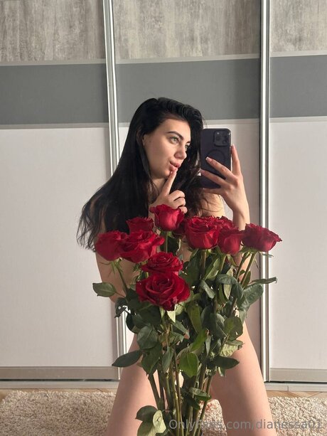 Dianessa01 star du sexe image