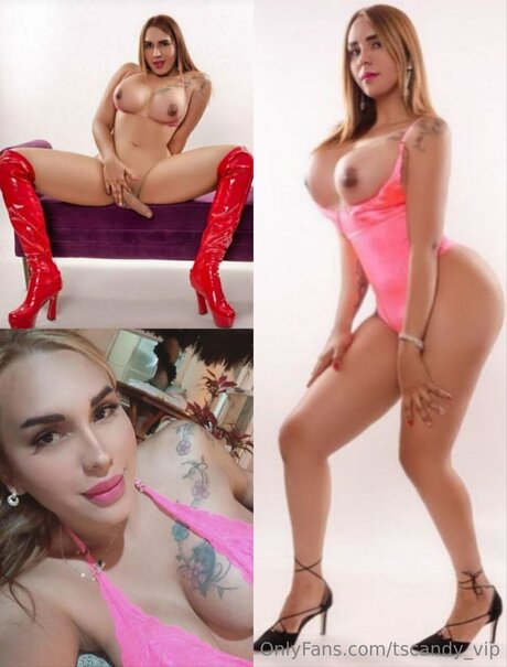 Tscandy Vip sexe de star du porno archive