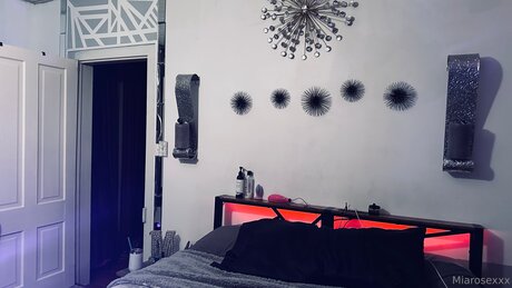 fans de chatte blanche uniquement des nus sympas collection