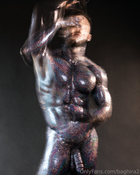 Baghira2 modèle gratuit image