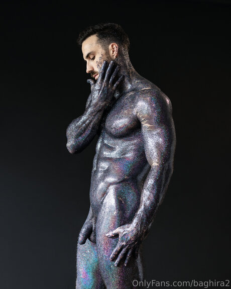 Baghira2 meilleure étoile galeries