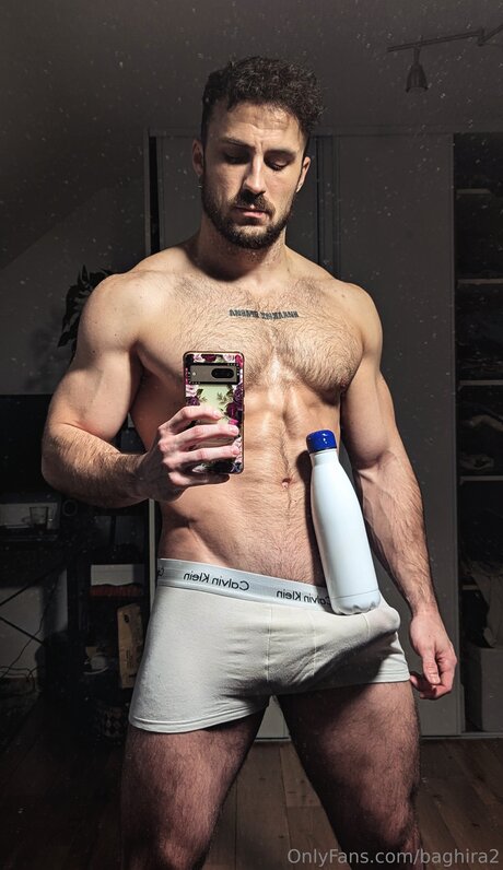 Baghira2 meilleur modèle image